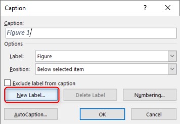 Insert Caption dialog box in Microsoft Word for Windows