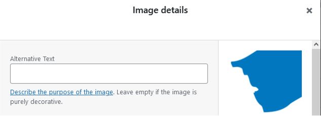 Image Details WordPress UI showing empty alt text field and example image